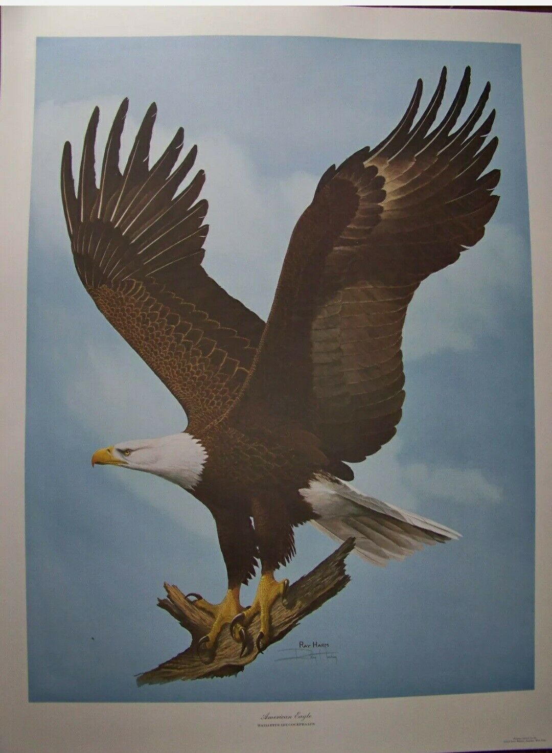 RAY HARM BALD EAGLE WEST POINT EDITION- 50 YEAR OLD PRINT- MINT CONDITION- RARE 